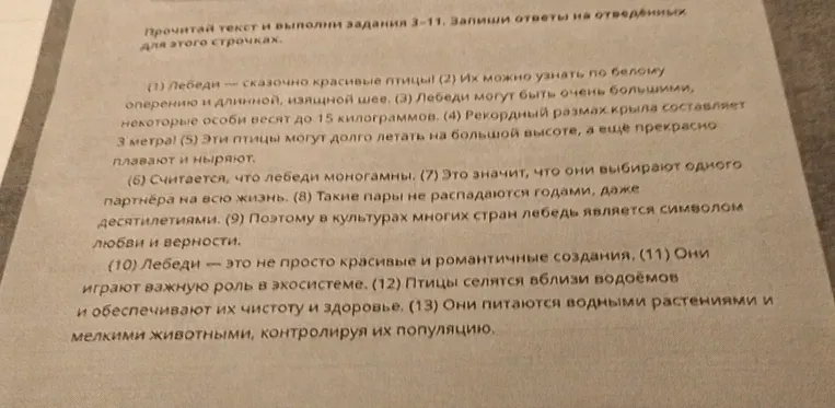 Выпиши из 5-го предложения все имена существительные в той форме, в которой они употреблены в предложении. Укажи род, склонение, число, падеж одной из форм имени существительного (на выбор).