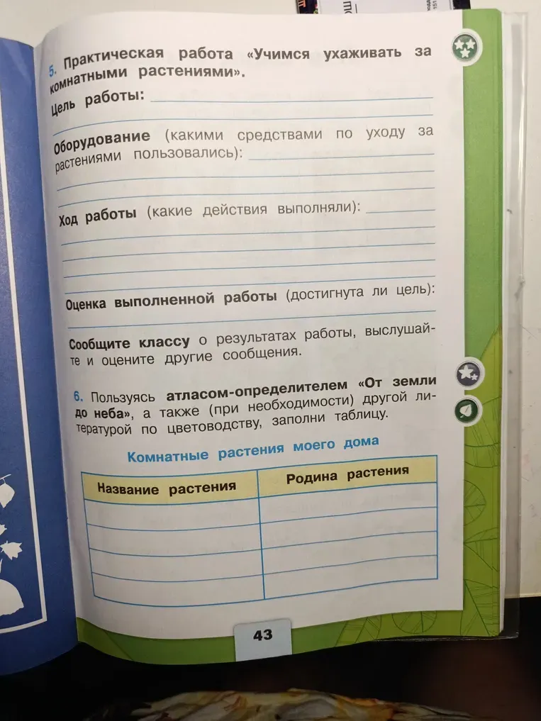 5. Практическая работа «Учимся ухаживать за комнатными растениями». Цель работы