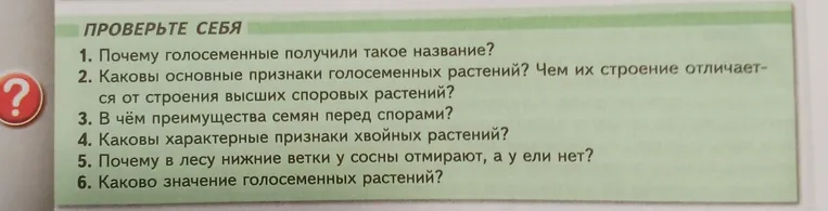 Почему голосеменные получили такое название?