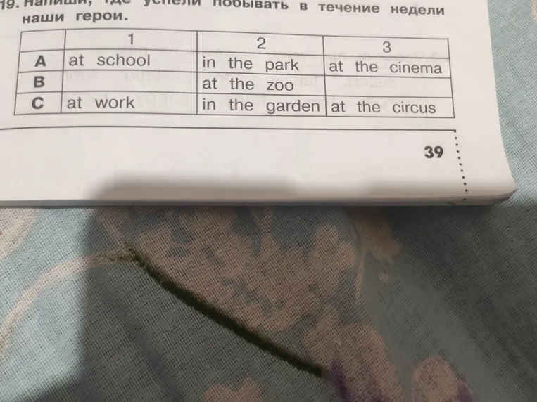 Напиши, где успели побывать в течение недели наши герои.