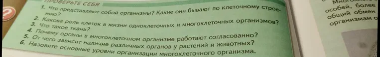 Что представляют собой организмы? Какие они бывают по клеточному строению?