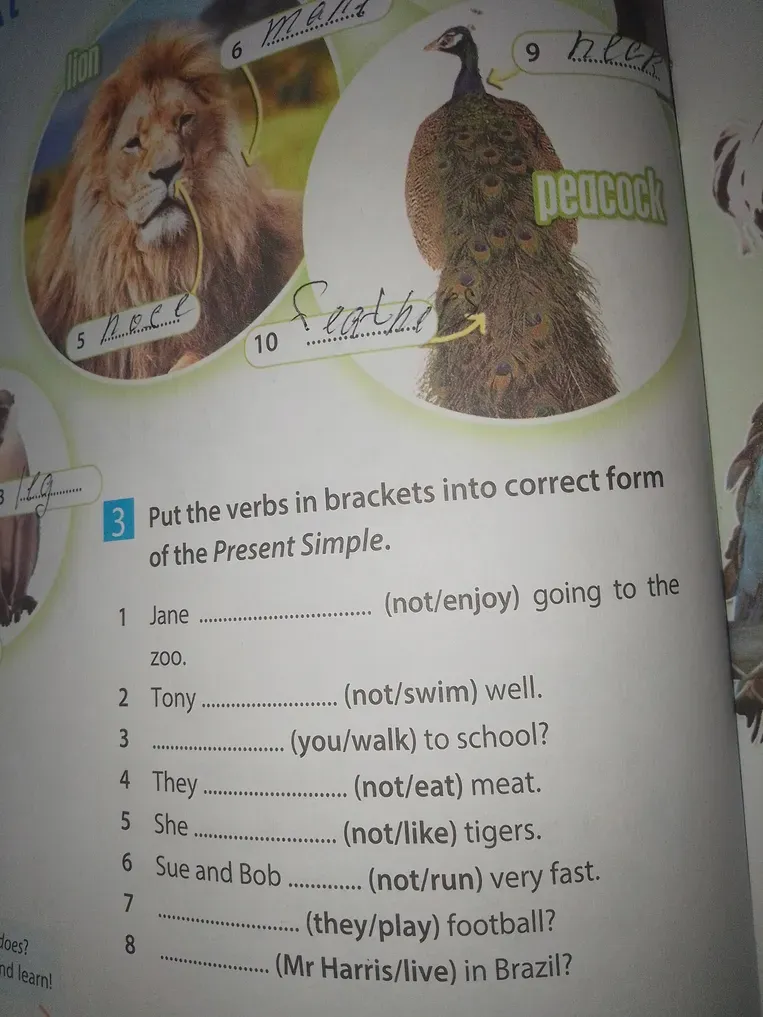 Put the verbs in brackets into correct form of the Present Simple.