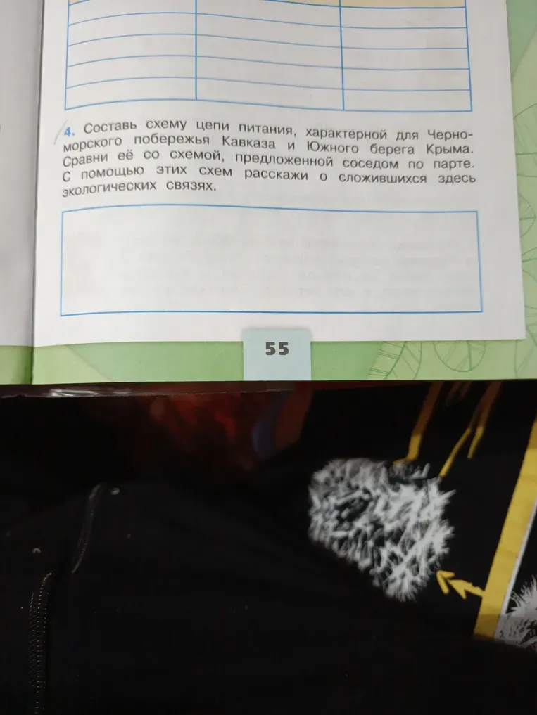 Составь схему цепи питания, характерной для Черноморского побережья Кавказа и Южного берега Крыма.