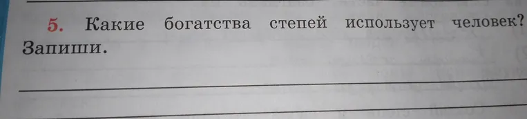 Какие богатства степей использует человек? Запиши.