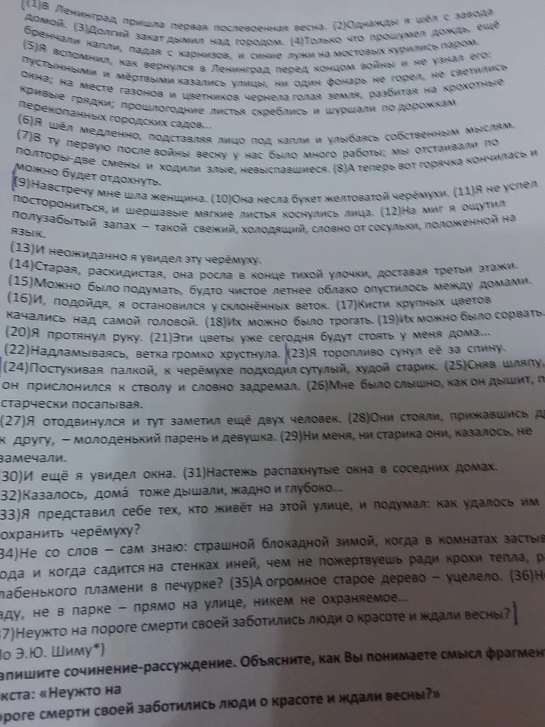 Напишите сочинение-рассуждение. Объясните, как Вы понимаете смысл фрагмента текста: «Неужто на пороге смерти своей заботились люди о красоте и ждали весны?»