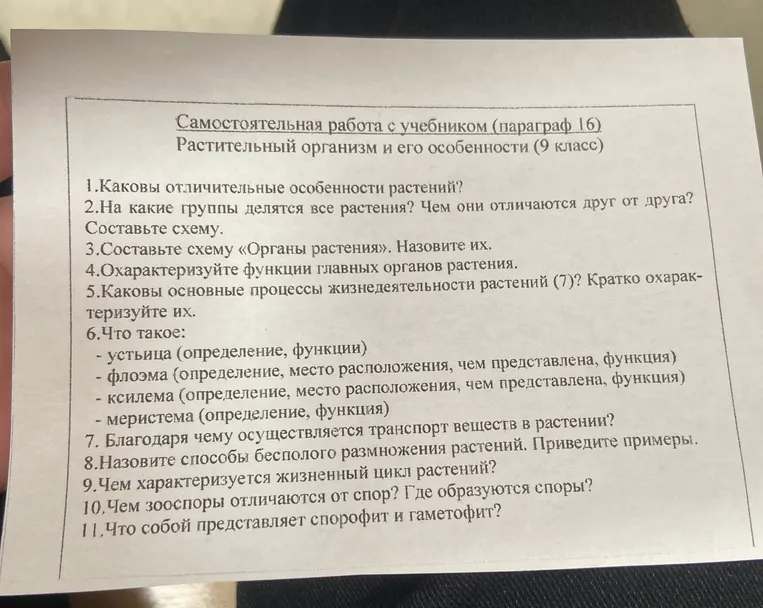 Каковы отличительные особенности растений?