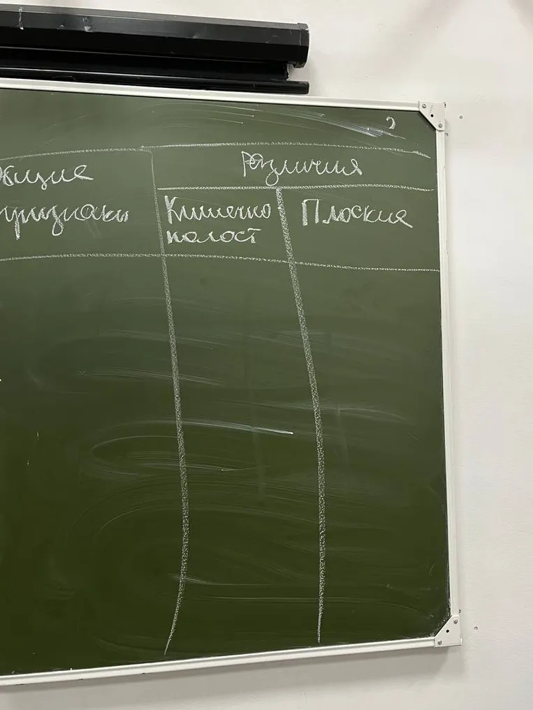 Заполните таблицу, сравнив кишечнополостных и плоских червей по общим признакам и различиям.