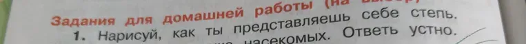 Нарисуй, как ты представляешь себе степь. Ответ устно.