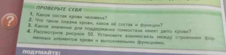 Каков состав крови человека?