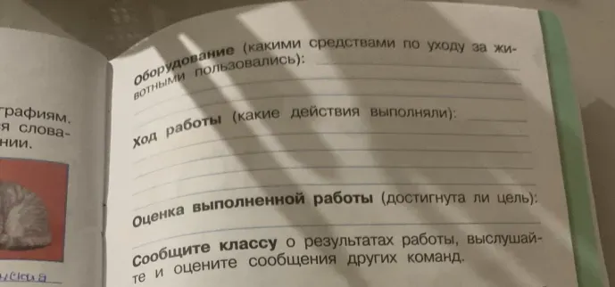 Заполните пункты «Оборудование», «Ход работы» и «Оценка выполненной работы» по уходу за животными.