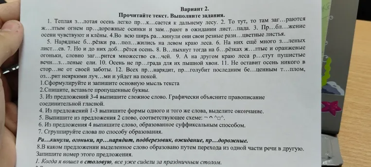 Сформулируйте и запишите основную мысль текста.