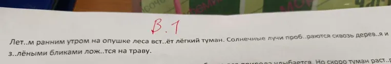 Вставьте пропущенные буквы в словах из предложения.