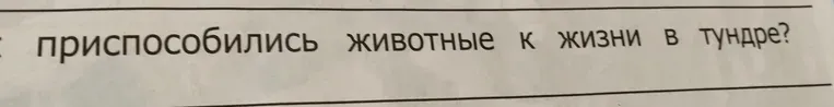 Как приспособились животные к жизни в тундре?