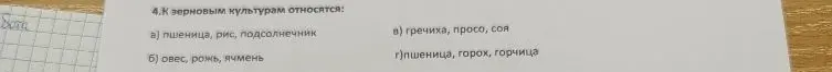 Какие культуры относятся к зерновым?