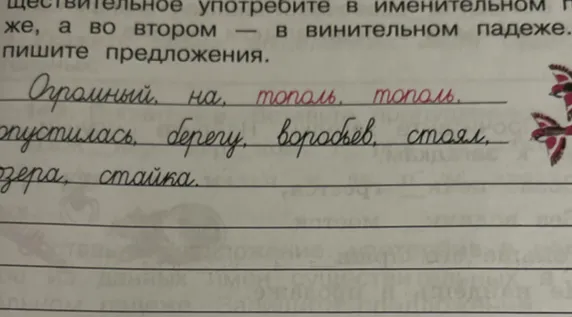 Составьте предложения, используя данные слова и употребив существительное «тополь» в именительном и винительном падеже.