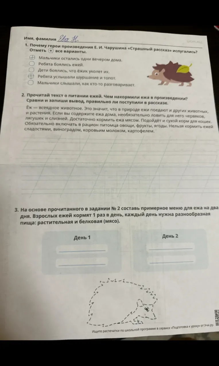 Почему герои произведения Е. И. Чарушина «Страшный рассказ» испугались? Отметь все варианты.