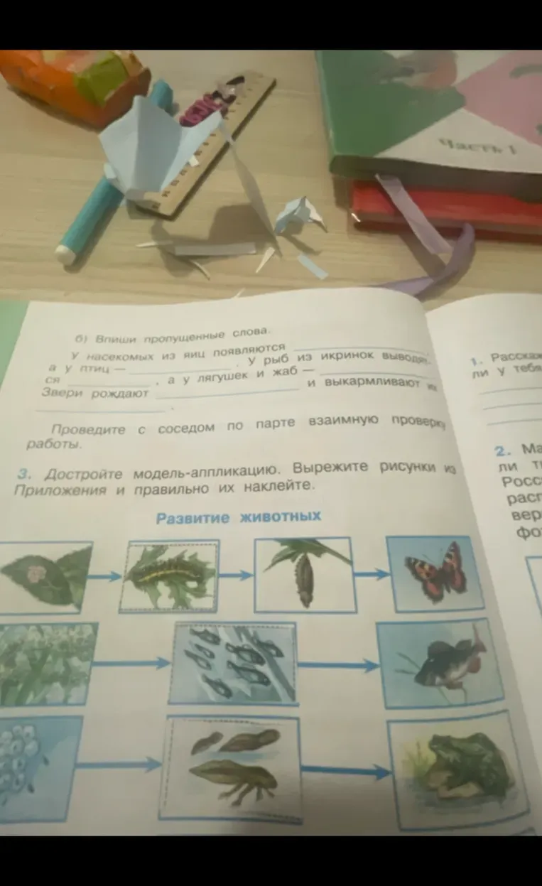 Впиши пропущенные слова. У насекомых из яиц появляются _____, у рыб из икринок выводятся _____, а у птиц — _____, а у лягушек и жаб — _____.