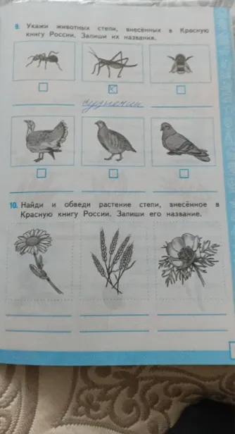 Укажи животных степи, внесённых в Красную книгу России. Запиши их названия.