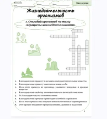 Разгадай кроссворд на тему «Процессы жизнедеятельности»