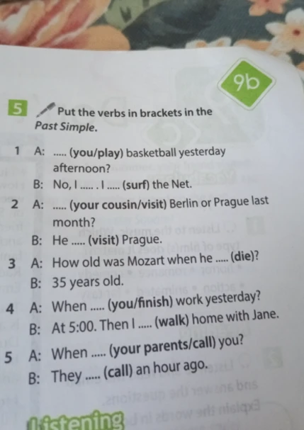 Put the verbs in brackets in the Past Simple.