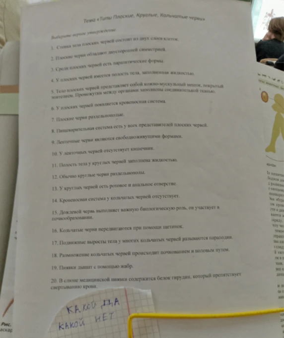 Выберите верное утверждение