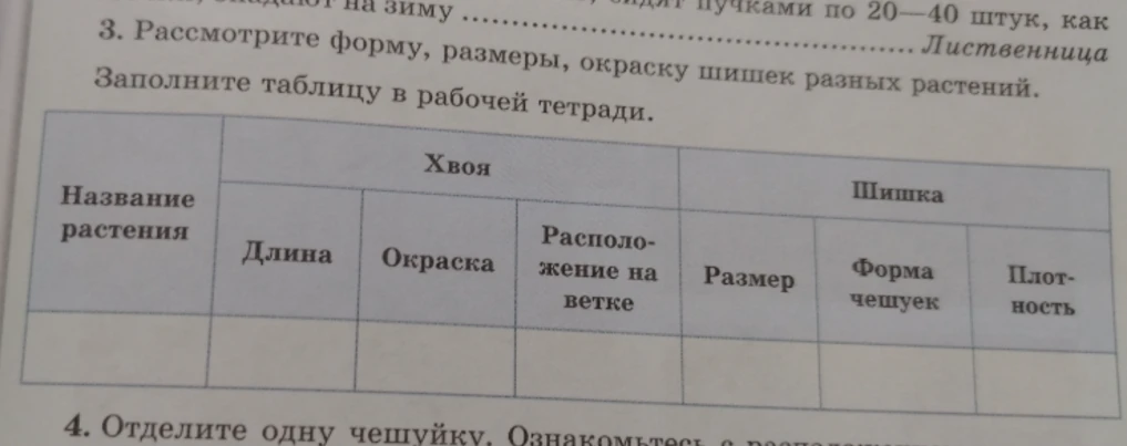 Рассмотрите форму, размеры, окраску шишек разных растений. Заполните таблицу в рабочей тетради.