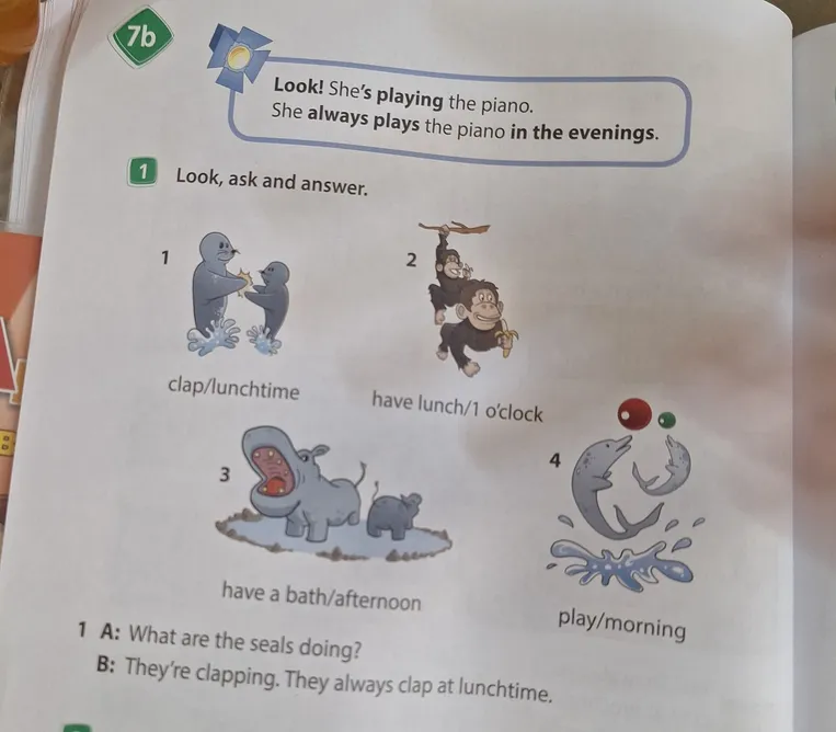 Look, ask and answer. What are the seals doing?