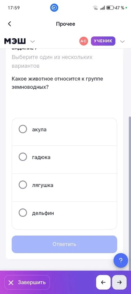 Какое животное относится к группе земноводных?