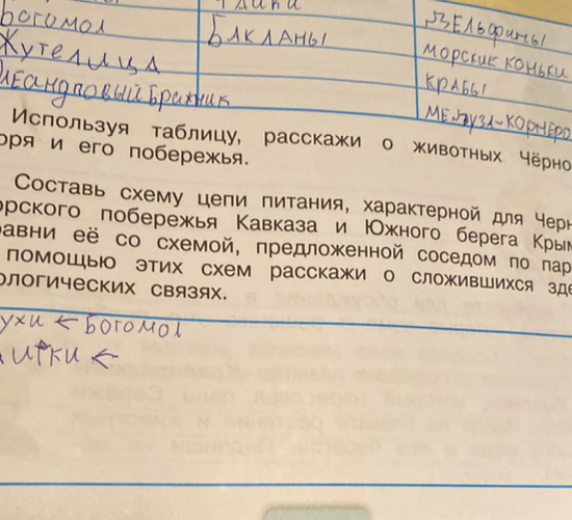 Используя таблицу, расскажи о животных Чёрного моря и его побережья.