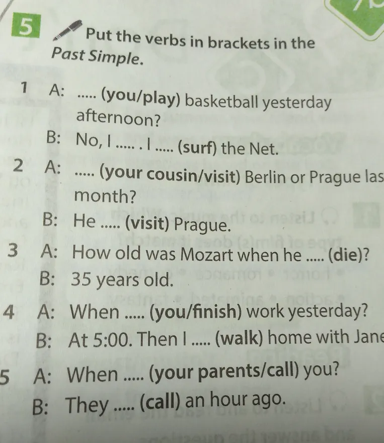 Put the verbs in brackets in the Past Simple.