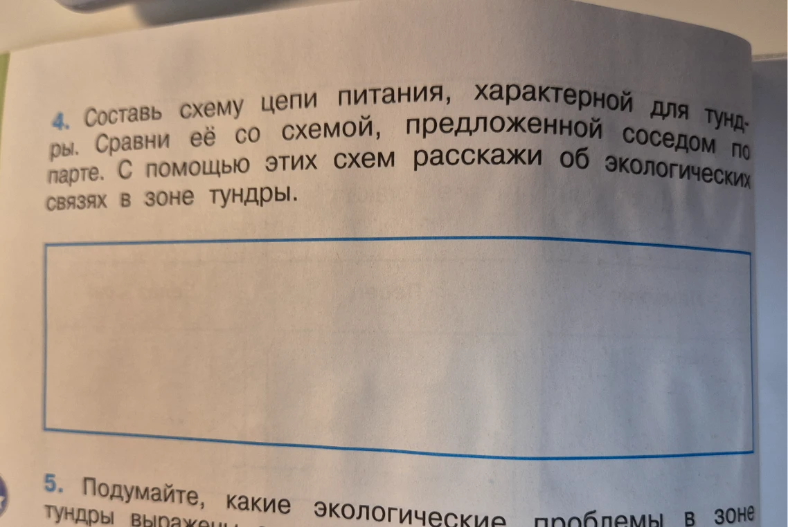 Составить схему цепи питания, характерную для тундры