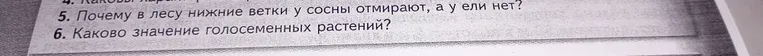 Ответьте на вопрос: Почему в лесу нижние ветки у сосны отмирают, а у ели нет?