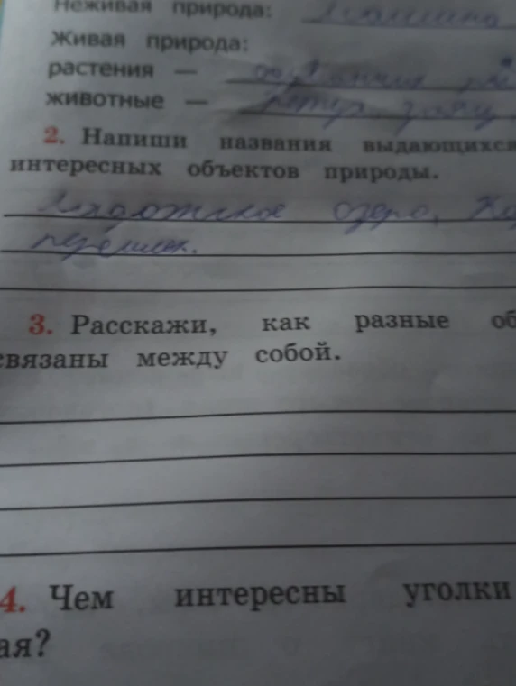 Неживая природа: Живая природа: растения животные