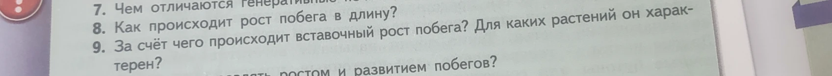 Как происходит рост побега в длину?