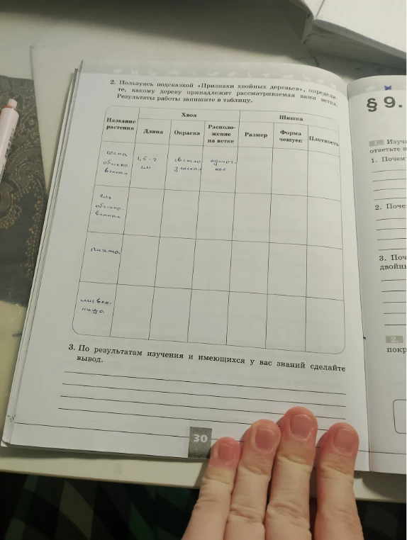 Используя подсказку «Признаки хвойных деревьев», определи, к какому дереву принадлежит рассматриваемая вами ветка. Результаты работы запишите в таблицу.