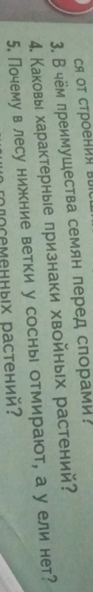 В чём преимущества семян перед спорами?