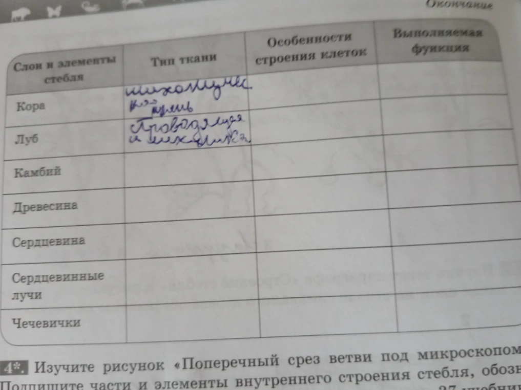 Изучите рисунок «Поперечный срез ветви под микроскопом» Подпишите части и элементы внутреннего строения стебля
