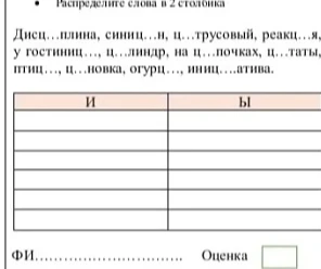 Распределите слова в 2 столбика