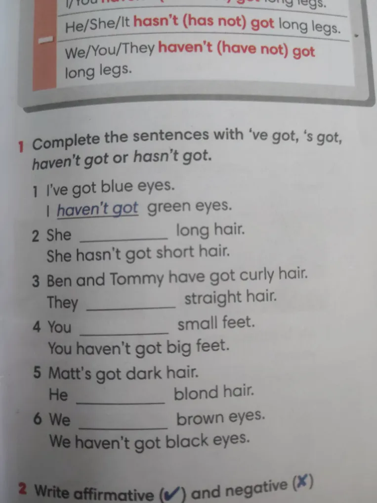 Complete the sentences with 've got, 's got, haven't got or hasn't got.