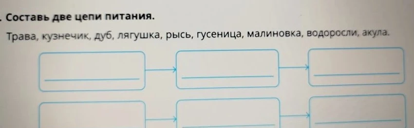 Составьте две цепи питания, используя предложенные слова: Трава, кузнечик, дуб, лягушка, рысь, гусеница, малиновка, водоросли, акула.