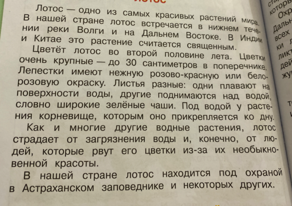 Краткий пересказ текста про лотос.