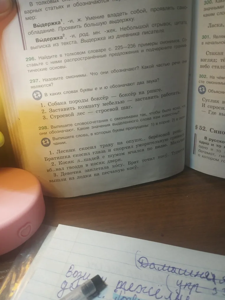 Назовите омонимы. Что они обозначают? Какой частью речи они являются?