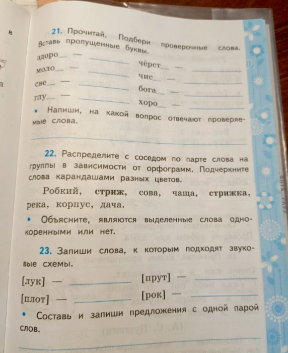 Прочитай. Подбери проверочные слова. Вставь пропущенные буквы.