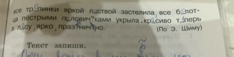 Найти границы предложений