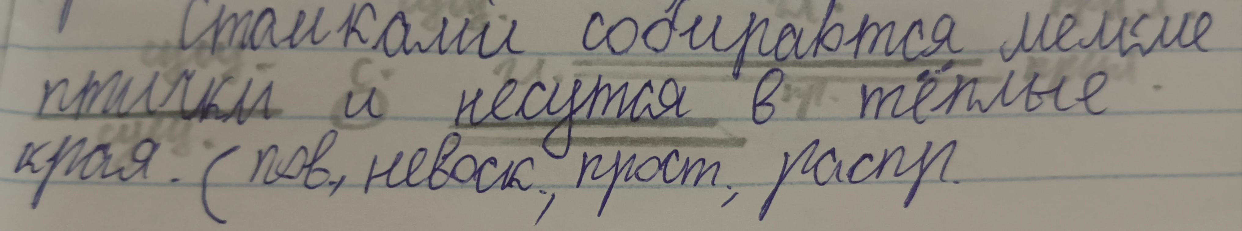Выполните синтаксический разбор предложения: Стайками собираются мелкие птички и несутся в тёплые края. (пов, невоск, прост, распр)