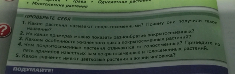 Какие растения называют покрытосеменными? Почему они получили такое название?