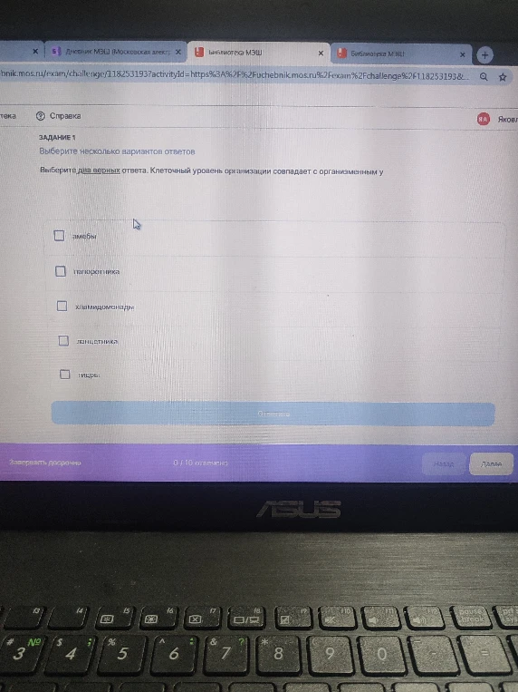 Выберите два верных ответа. Клеточный уровень организации совпадает с организменным у