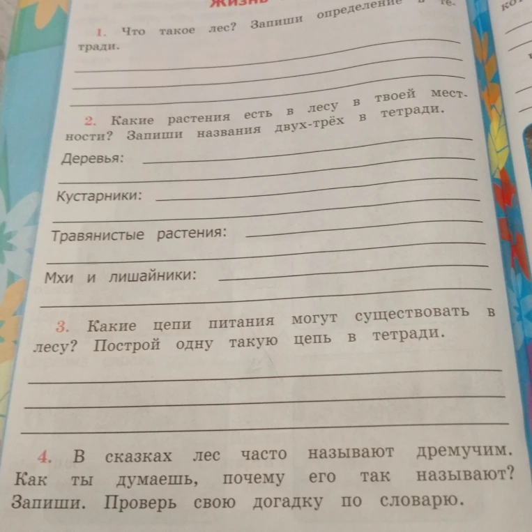 Что такое лес? Запиши определение.