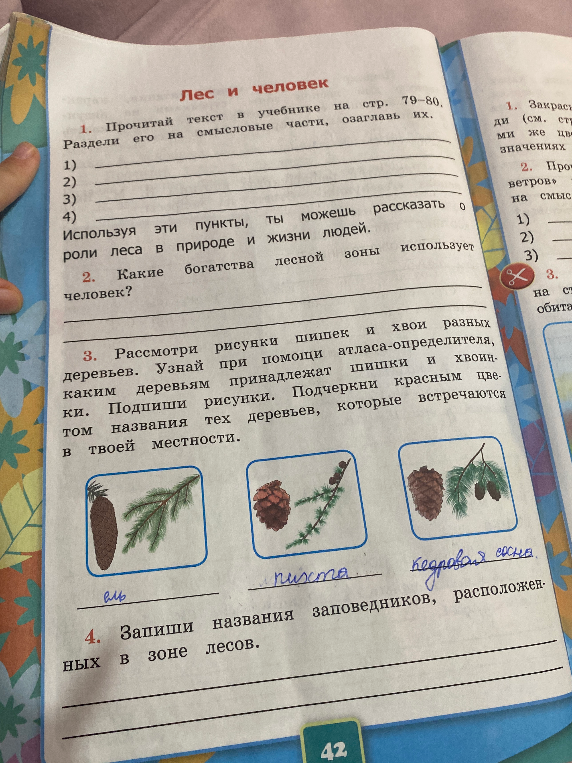 Какие богатства лесной зоны использует человек?