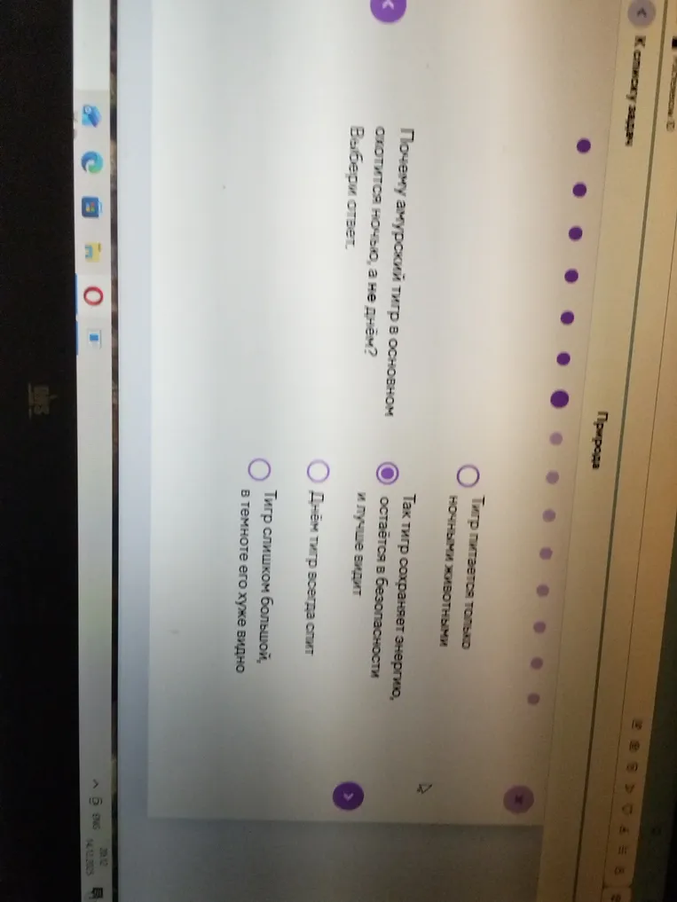 Почему амурский тигр в основном охотится ночью, а не днём? Выбери ответ.